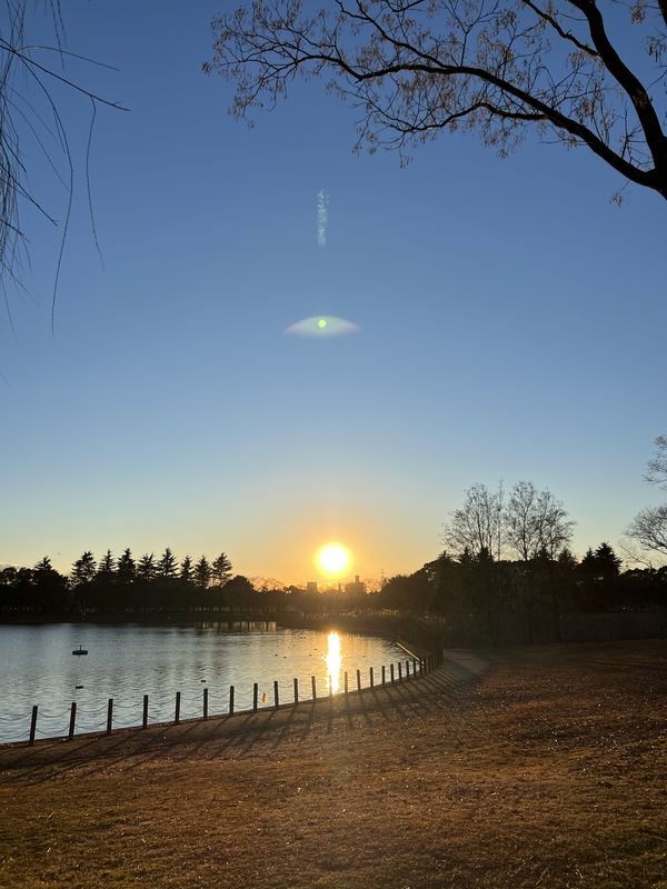 夕日｜県民健康福祉村