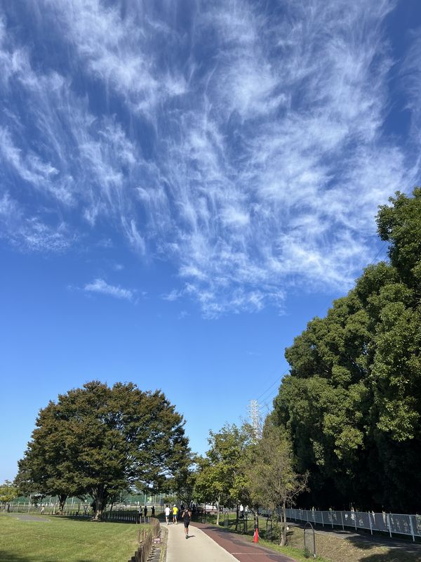 秋晴れの県民健康福祉村