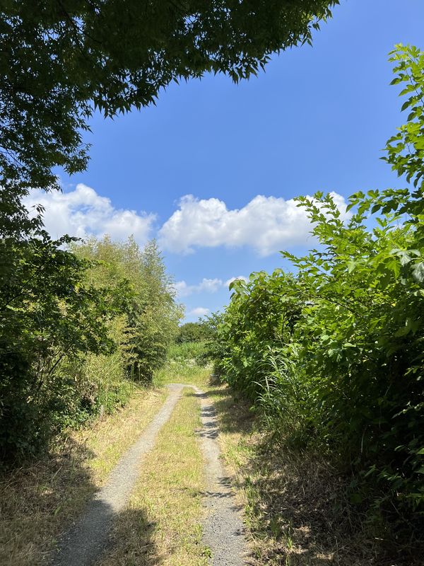 奥州古道（堤土手道）