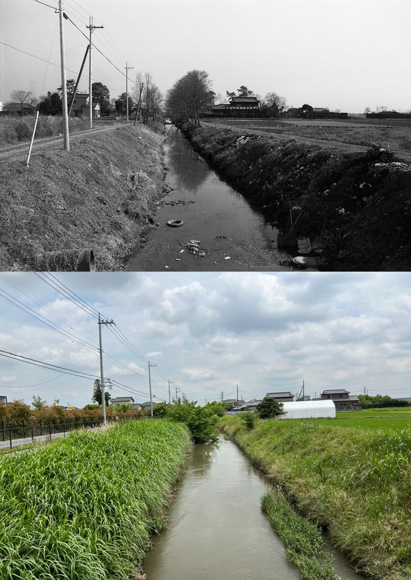 恩間新田の千間堀の今昔