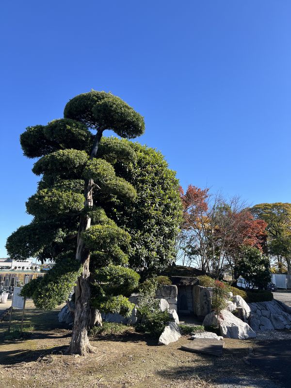 蛇塚｜清浄院