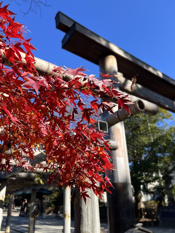 第三鳥居｜紅葉