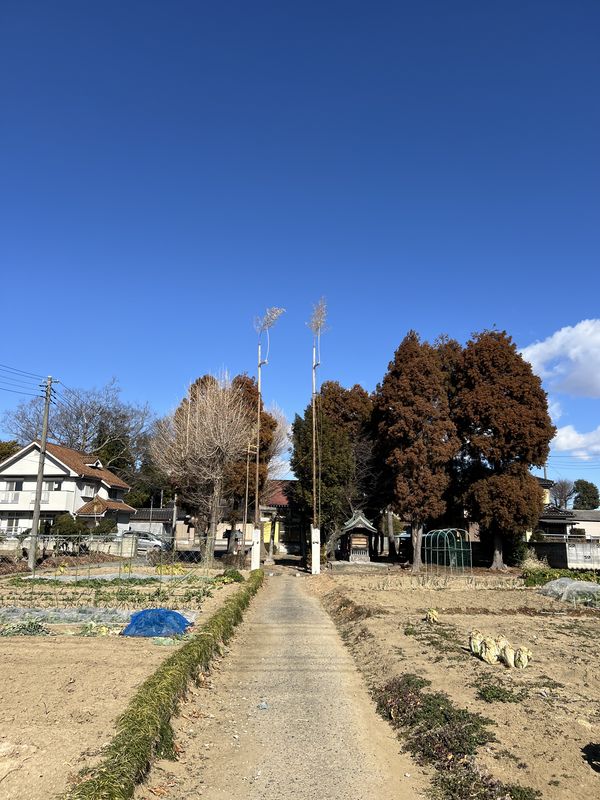 大杉稲荷神社｜全景