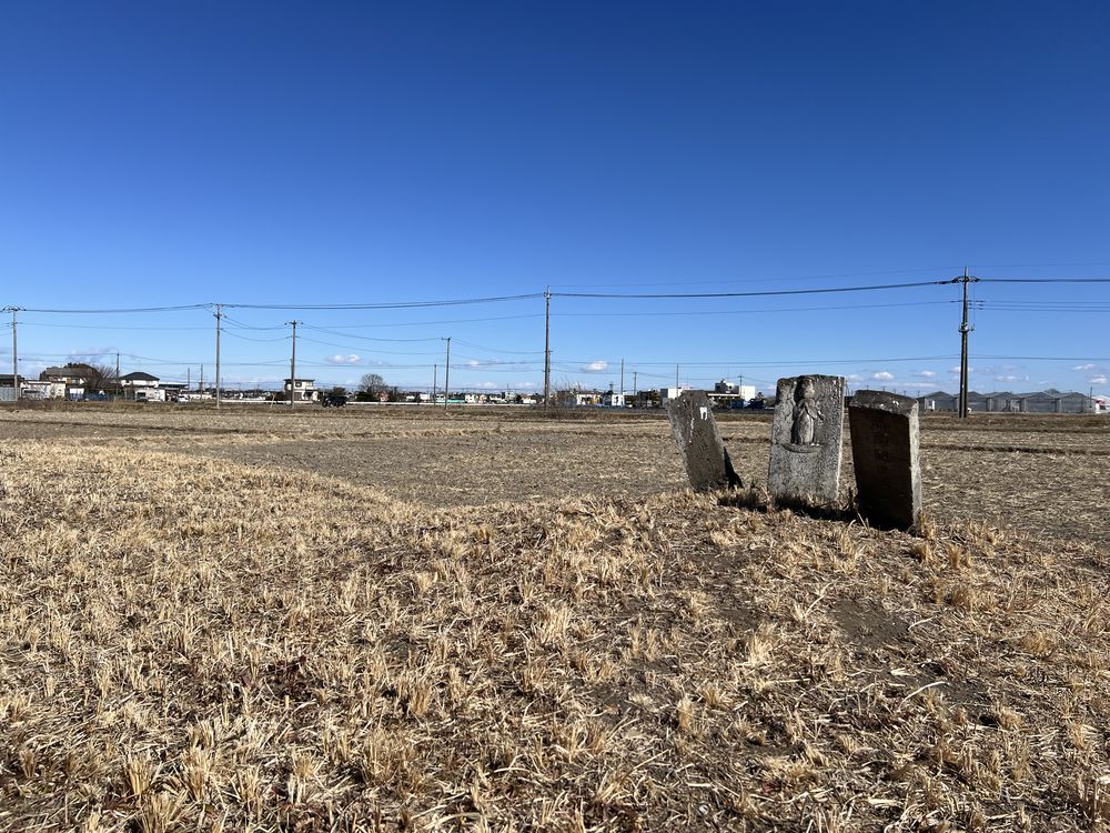 馬頭観音塔と田園風景