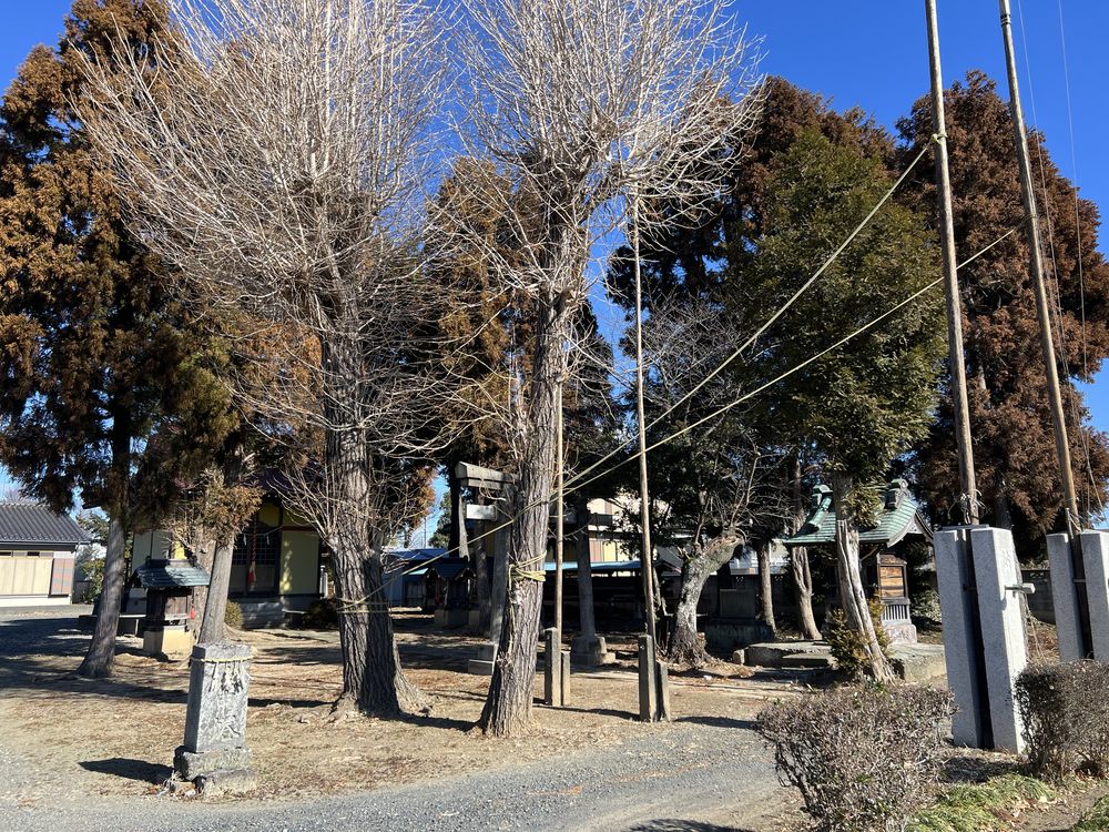 大杉稲荷神社｜越谷市大杉