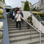 東福寺の文化財調査終了 東福寺の文化財調査終了