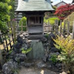小社 小社