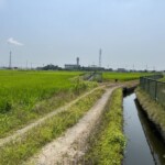 増林の田園風景 増林の田園風景