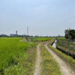 水田と用水 水田と用水