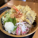 フィレンツェ茄子天おろしそば フィレンツェ茄子天おろしそば