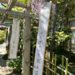 藤花祭 藤花祭
