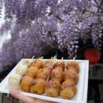 花より団子 花より団子