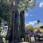 地蔵像と藤棚 地蔵像と藤棚