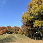 自由広場 自由広場