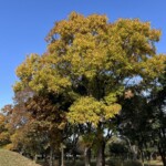 自由広場 自由広場