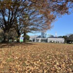 芝生広場 芝生広場