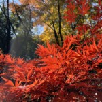 万葉公園 万葉公園