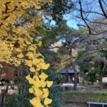 けやき荘 けやき荘