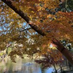 平田篤胤仮寓跡 平田篤胤仮寓跡