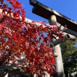 第三鳥居 第三鳥居