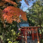 埼玉稲荷神社 埼玉稲荷神社