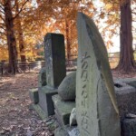 天神塔と紅葉 天神塔と紅葉