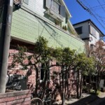 ミッシェルズハース ミッシェルズハース