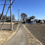 田んぼ道 田んぼ道