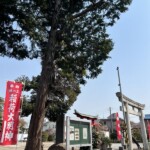 桶川稲荷神社 桶川稲荷神社